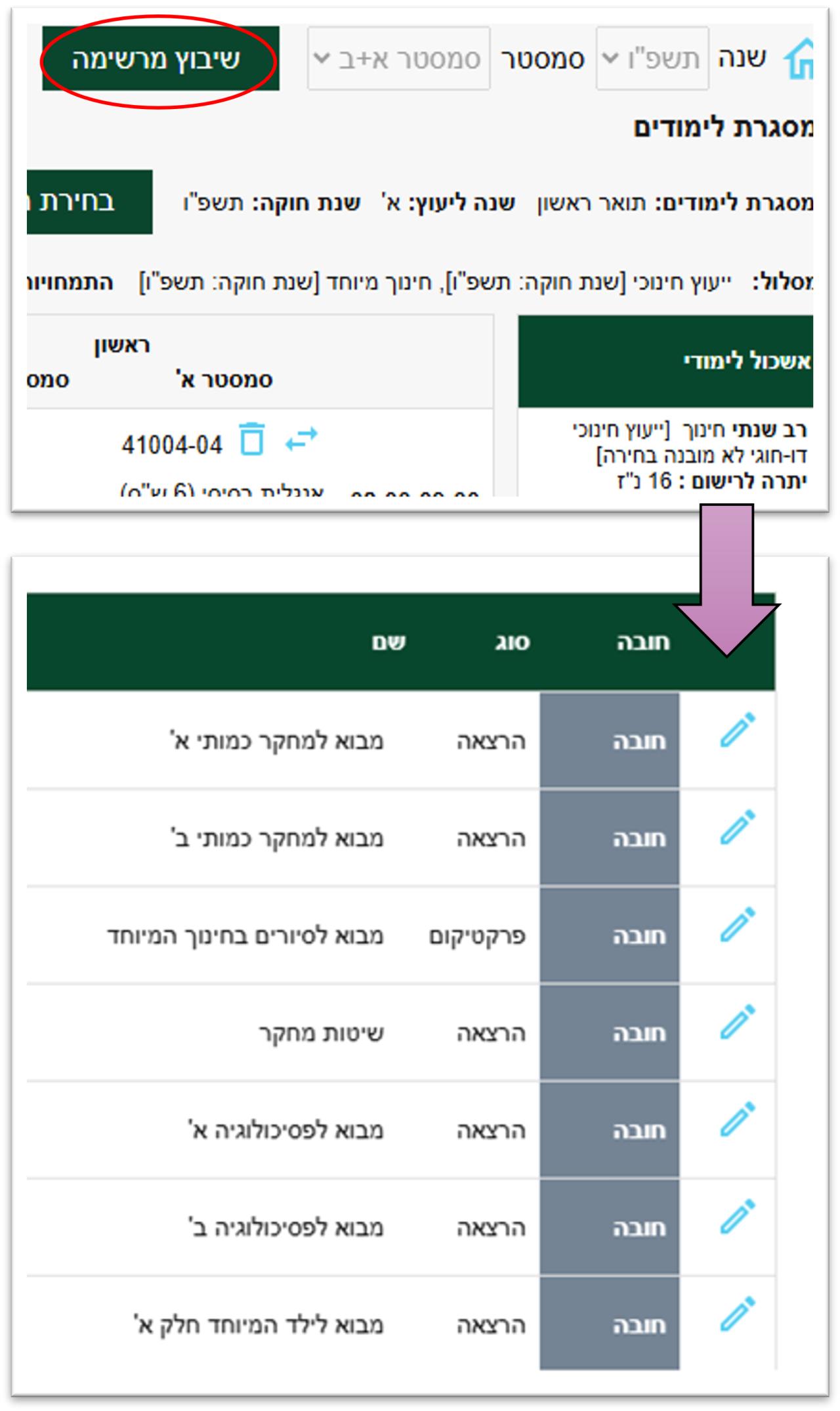 צילום מסך לצורך הדגמה לביצוע